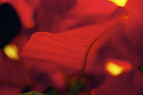 316918838_b304940dc7