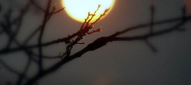 358913723_caa0823c59_z