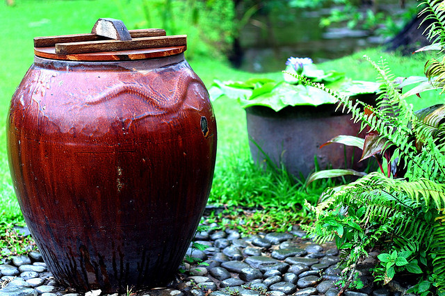 2013 Copyright@Ngoc Hoang's Photography 558793964_881042bed4_z