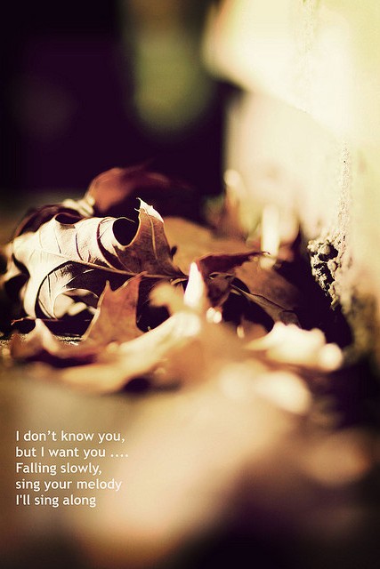 2319494634_0636bc4d19_z