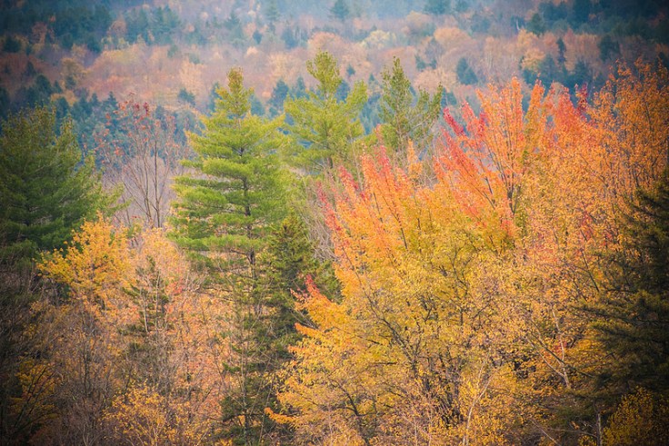 8192940841_c3e5d28ee7_c