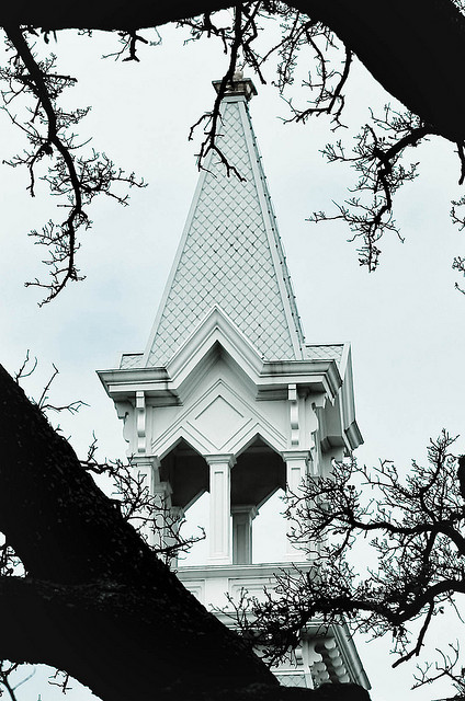 2445314829_c712c213b7_z