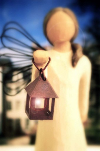 338166551_174edd2484_z