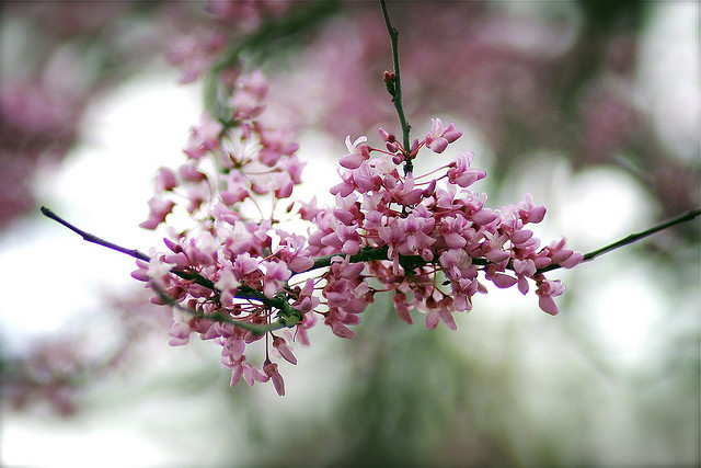 2315722852_74e5148721_z