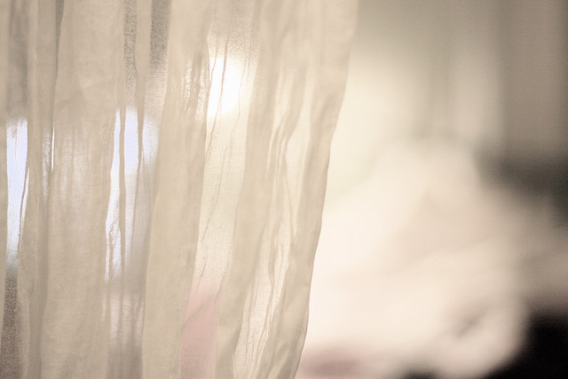 363008566_c0fdef626a_z