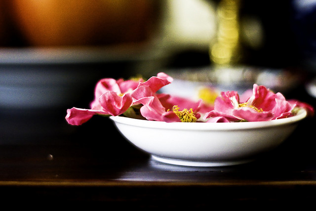 2582545126_8ba1fed289_z