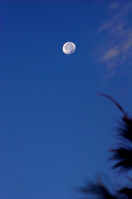 Sao không thấy em lại để cùng anh ngẩn ngơ trước sân trăng vời vợi...