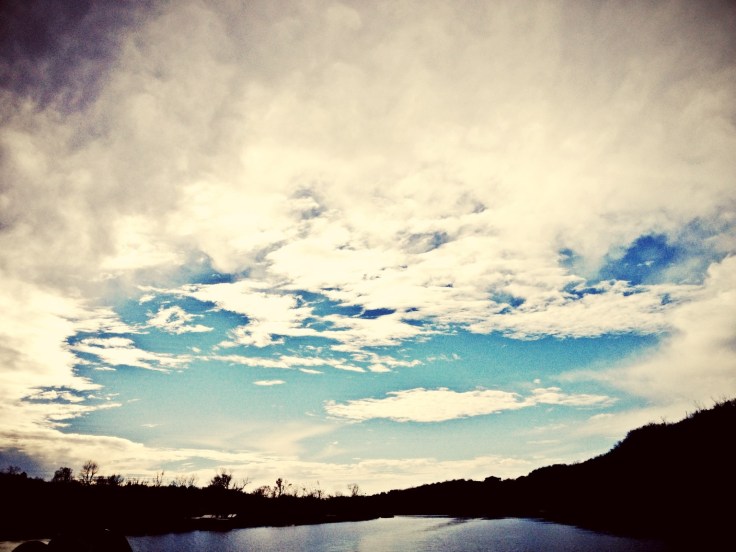  ...anh giờ đây như là chim rã rời cánh biết bay phương trời nào...