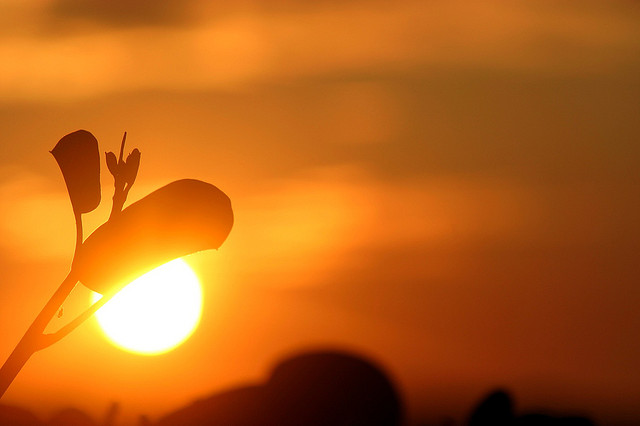 583168475_fbbef164d5_z