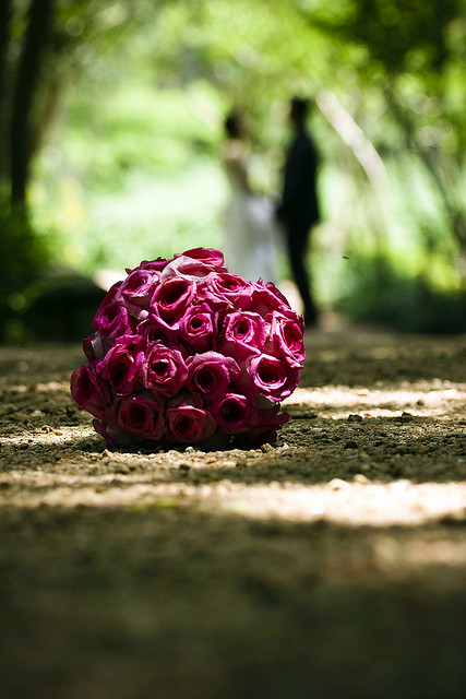 2484363099_aa091fc8cd_z