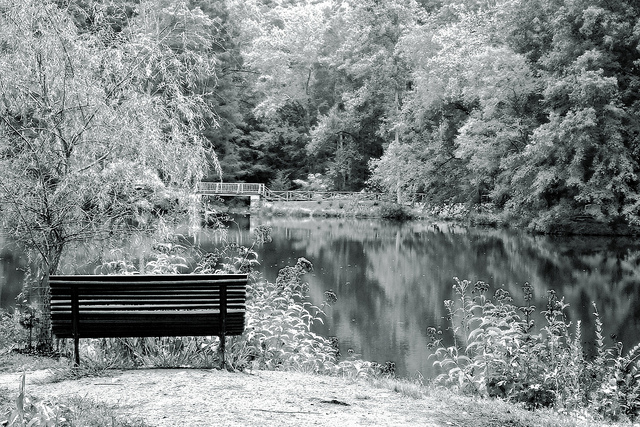 6248063221_869ee260a9_z