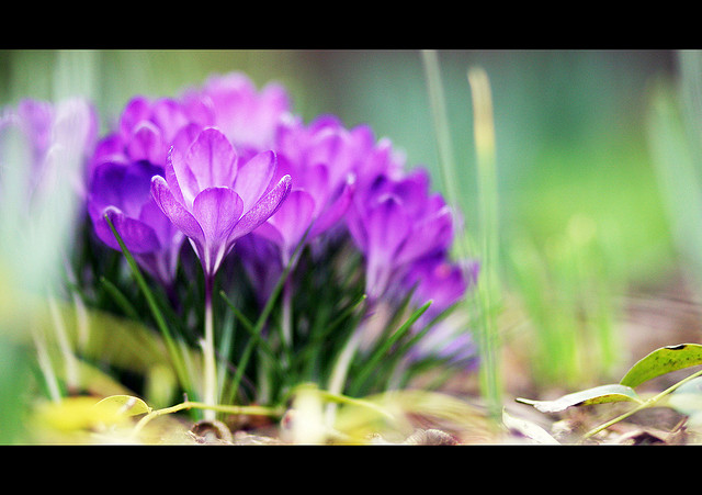 2371416892_38b6de5a48_z