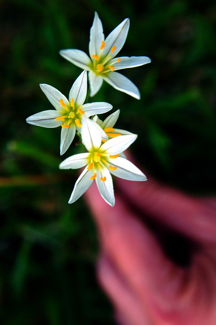 438257660_90d107e639_z