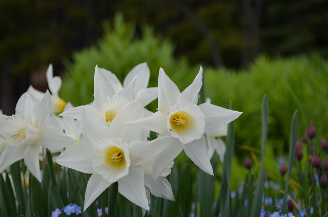 9141534260_e1f9ecc4cb_z