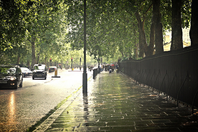 16970484907_ce18623f42_z