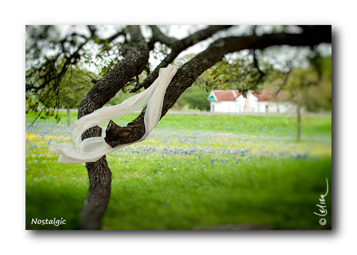 Photo by Nguyễn Thị Lệ Liễu