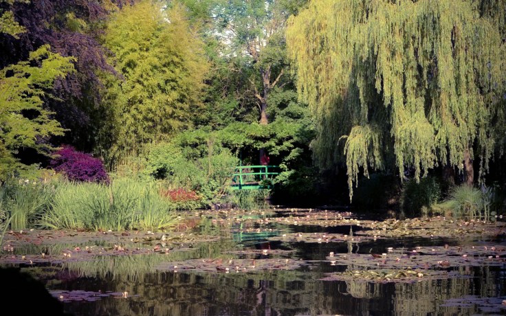 Monet Garden Pond
