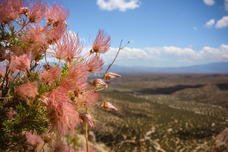 18915285786_34b75ee1d5_o