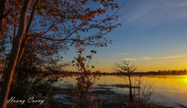 hoang-at-dallas-8-6-16-3-2