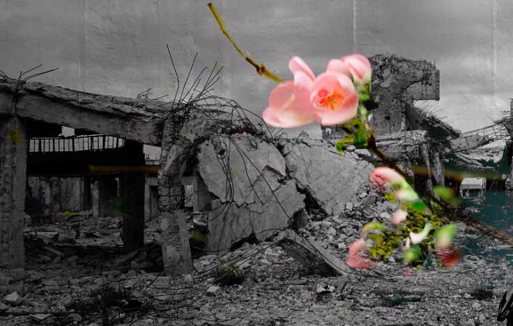 toi-chua-co-mua-xuan